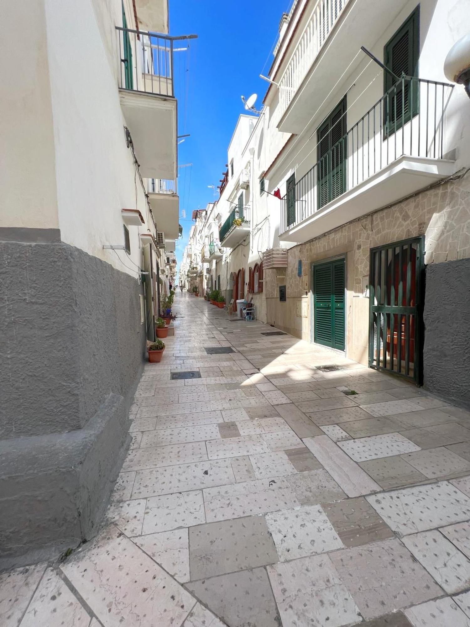 Acquasale Apartment "Altomare" Vieste Exterior photo